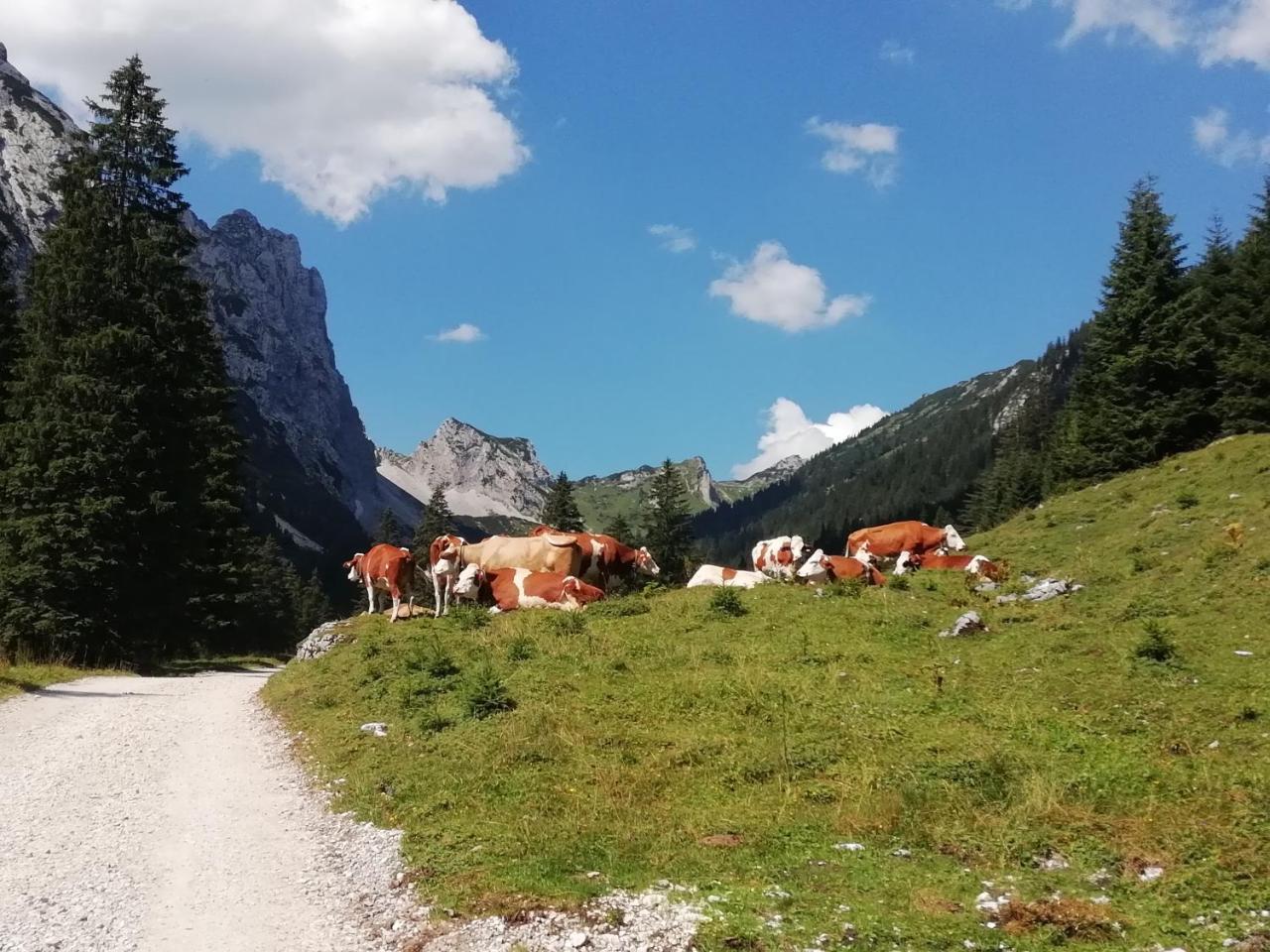 Gaestehaus Alpenblick Berwang Exterior foto